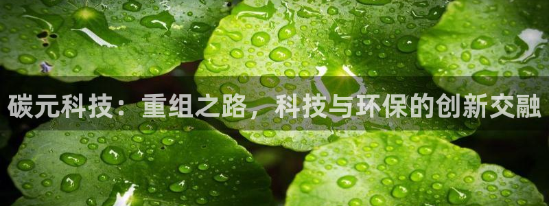 碳元科技：重组之路，科技与环保的创新交融