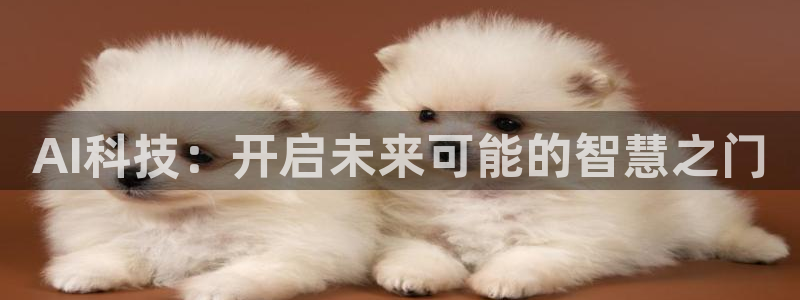 AI科技：开启未来可能的智慧之门