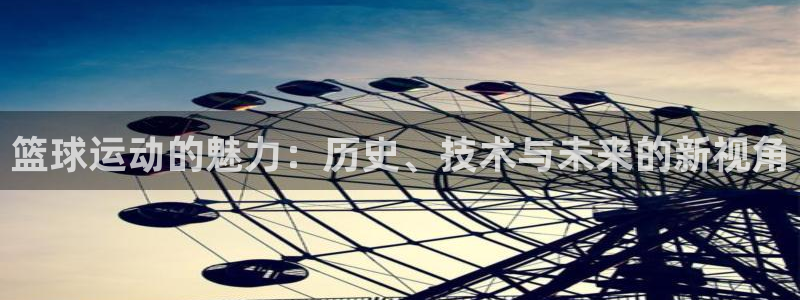 篮球运动的魅力：历史、技术与未来的新视角