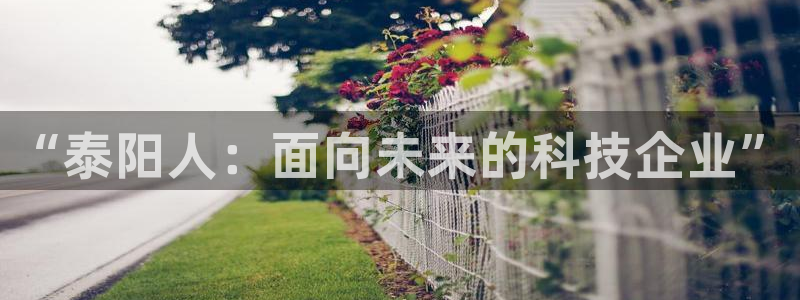“泰阳人：面向未来的科技企业”