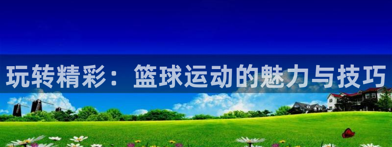 玩转精彩：篮球运动的魅力与技巧