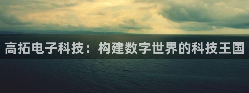 高拓电子科技：构建数字世界的科技王国