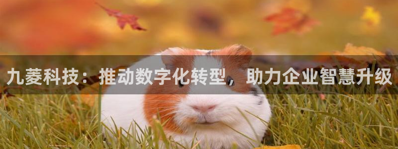 九菱科技：推动数字化转型，助力企业智慧升级