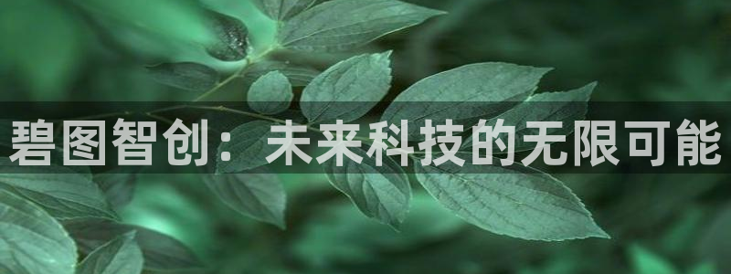 碧图智创：未来科技的无限可能