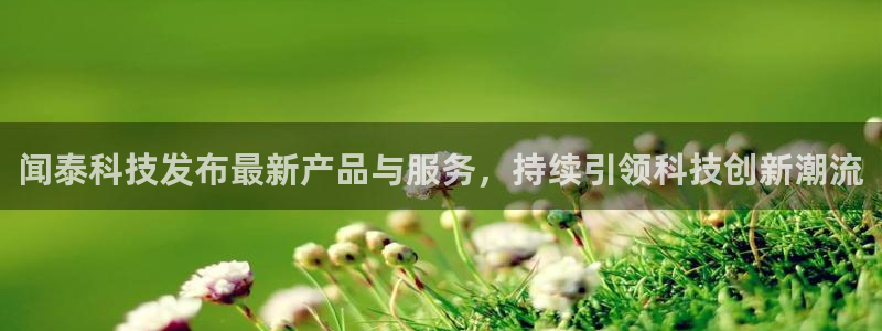 闻泰科技发布最新产品与服务，持续引领科技创新潮流