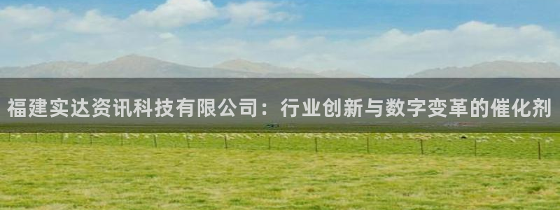 福建实达资讯科技有限公司：行业创新与数字变革的催化剂