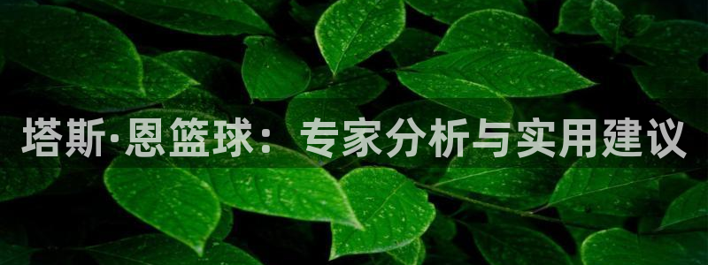 塔斯·恩篮球：专家分析与实用建议