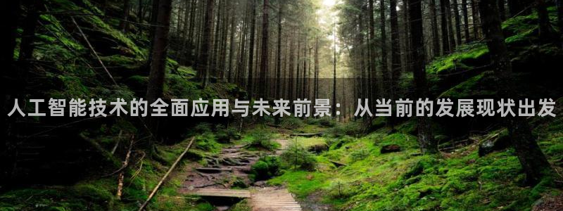 人工智能技术的全面应用与未来前景：从当前的发展现状出发
