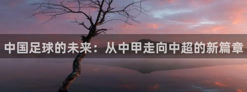 中国足球的未来：从中甲走向中超的新篇章