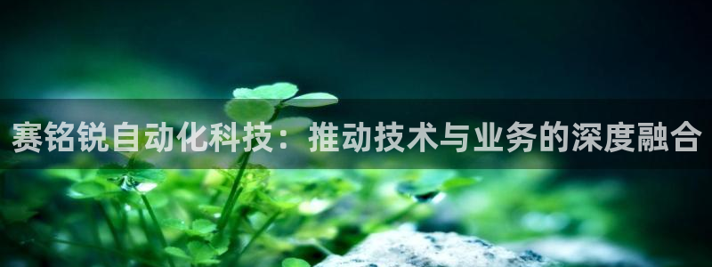 赛铭锐自动化科技：推动技术与业务的深度融合