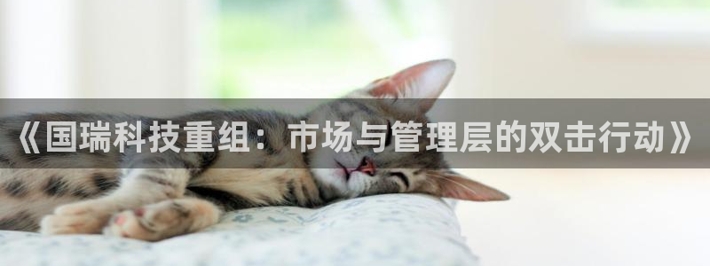 《国瑞科技重组：市场与管理层的双击行动》