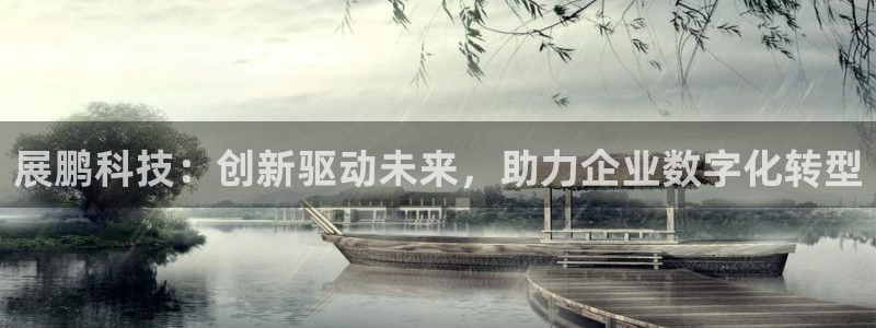 展鹏科技：创新驱动未来，助力企业数字化转型