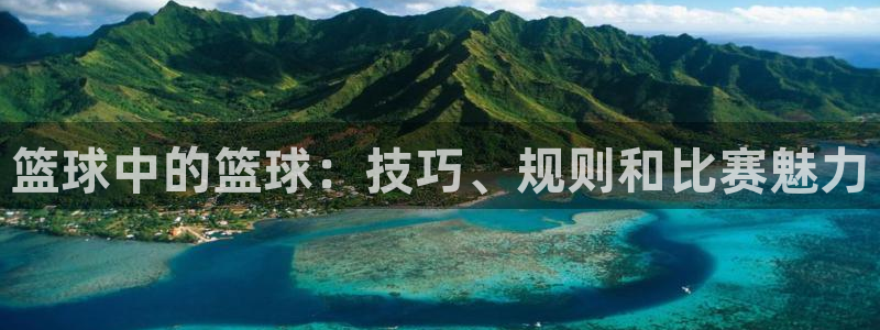 篮球中的篮球：技巧、规则和比赛魅力