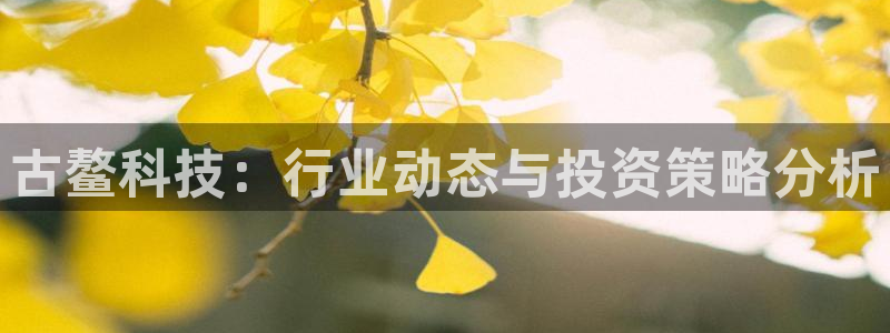 古鳌科技：行业动态与投资策略分析