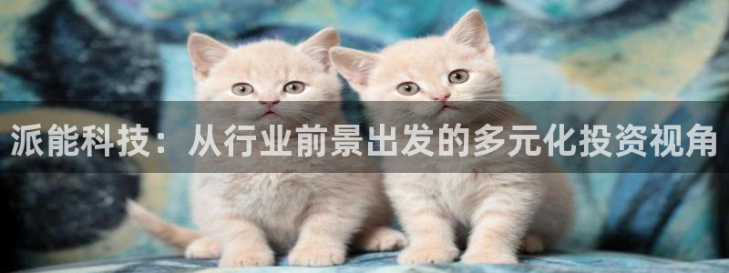 派能科技：从行业前景出发的多元化投资视角