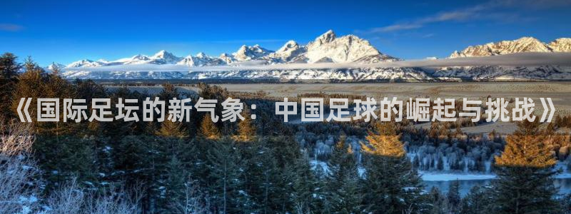 《国际足坛的新气象：中国足球的崛起与挑战》