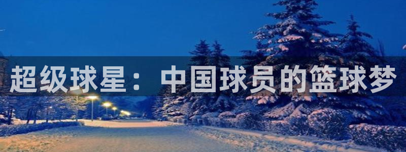 超级球星：中国球员的篮球梦