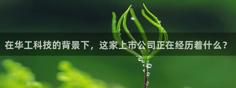 在华工科技的背景下，这家上市公司正在经历着什么？