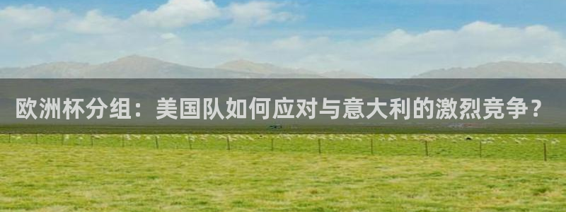 欧洲杯分组：美国队如何应对与意大利的激烈竞争？