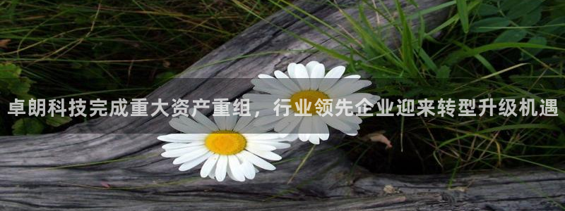 卓朗科技完成重大资产重组，行业领先企业迎来转型升级机遇