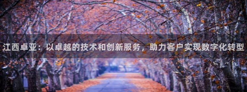 江西卓亚：以卓越的技术和创新服务，助力客户实现数字化转型