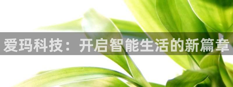 爱玛科技：开启智能生活的新篇章
