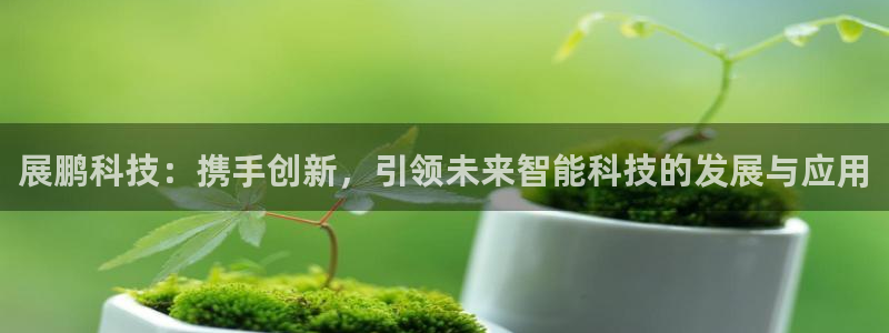 展鹏科技：携手创新，引领未来智能科技的发展与应用