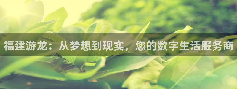 福建游龙：从梦想到现实，您的数字生活服务商